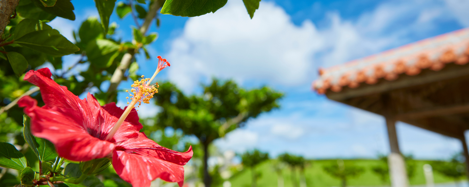 Okinawa Fair