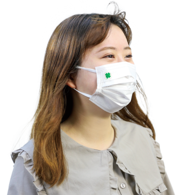 Mask Refresh Mint 30ea(15eaÁEsheets)