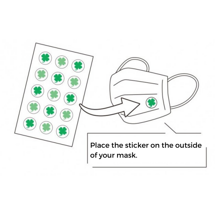 Mask Refresh Mint 30ea(15eaÁEsheets)