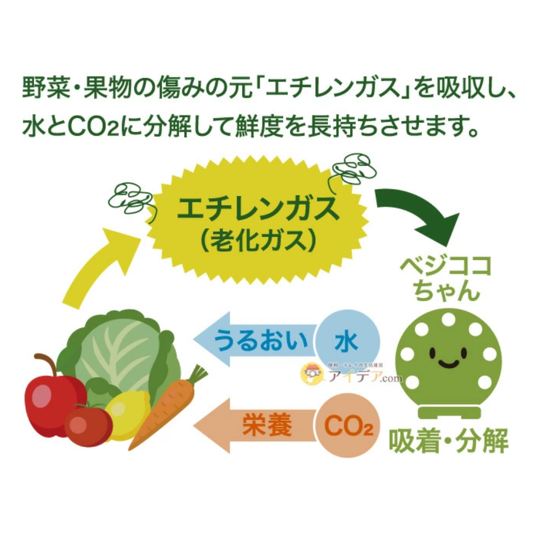 COGIT Bejikoko Chan Fresh Vegetable Keeper 1pc
