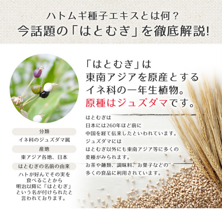 Hatomugi Baby Oil 300ml
