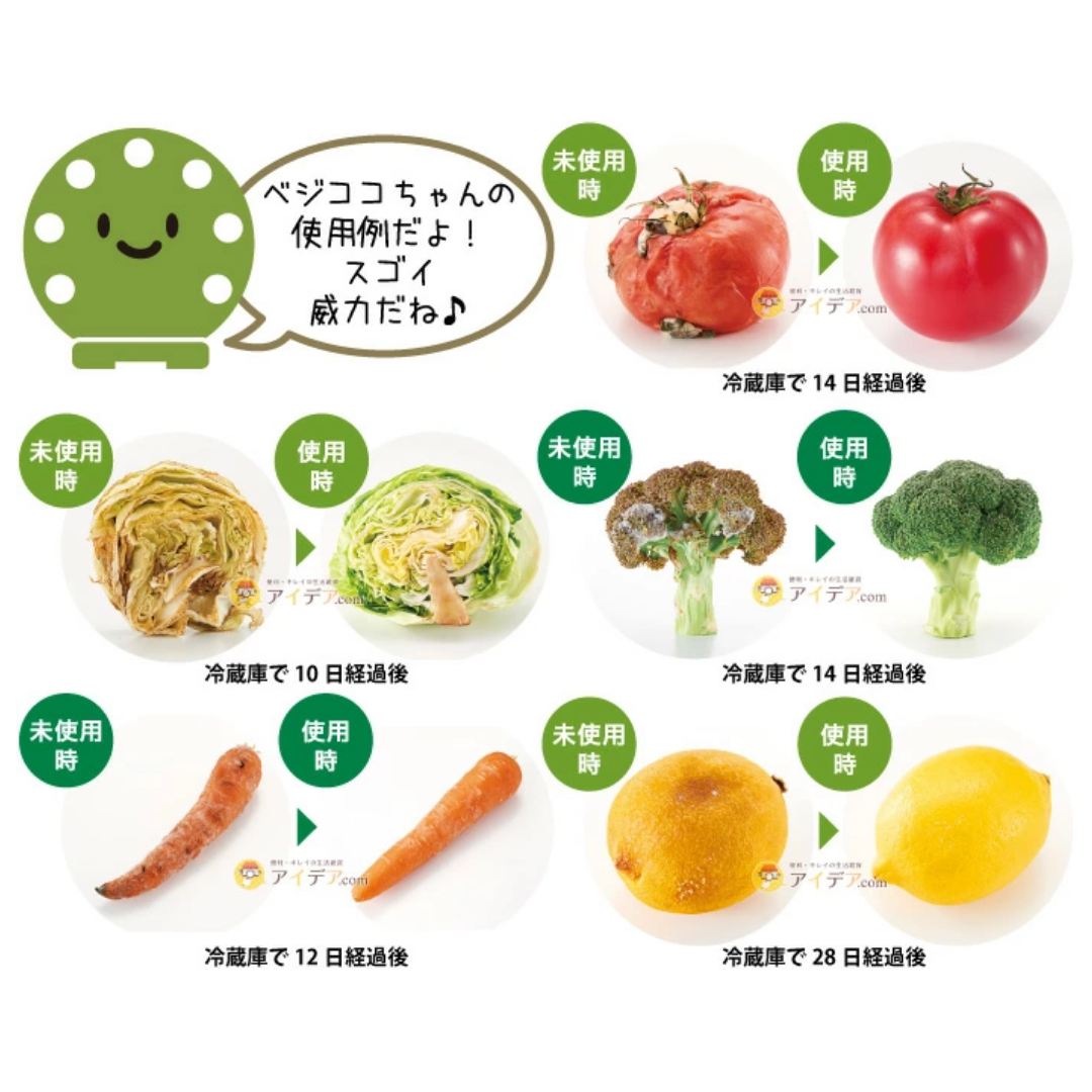 COGIT Bejikoko Chan Fresh Vegetable Keeper 1pc